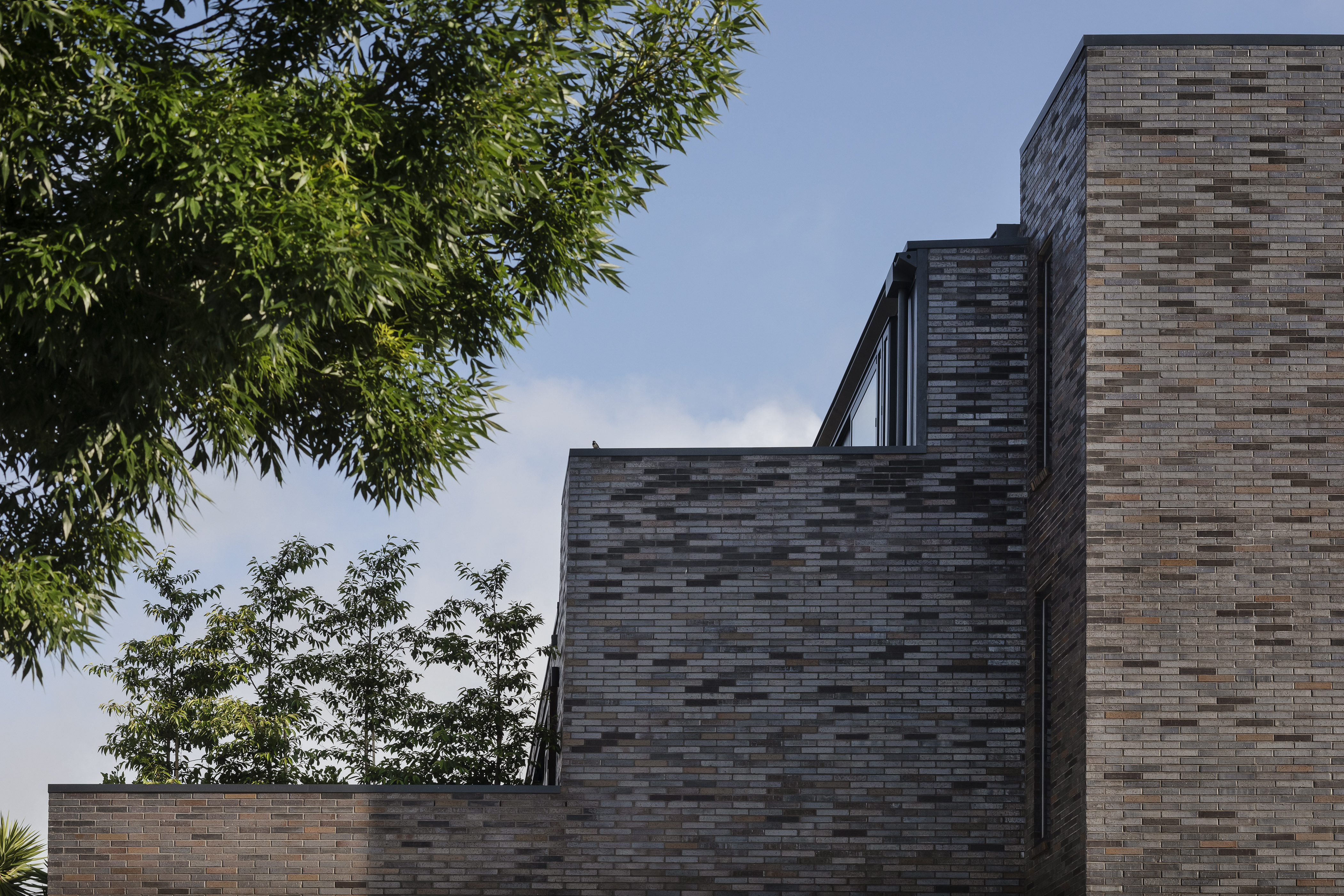 Kotiro Nui_3 of 9.jpg