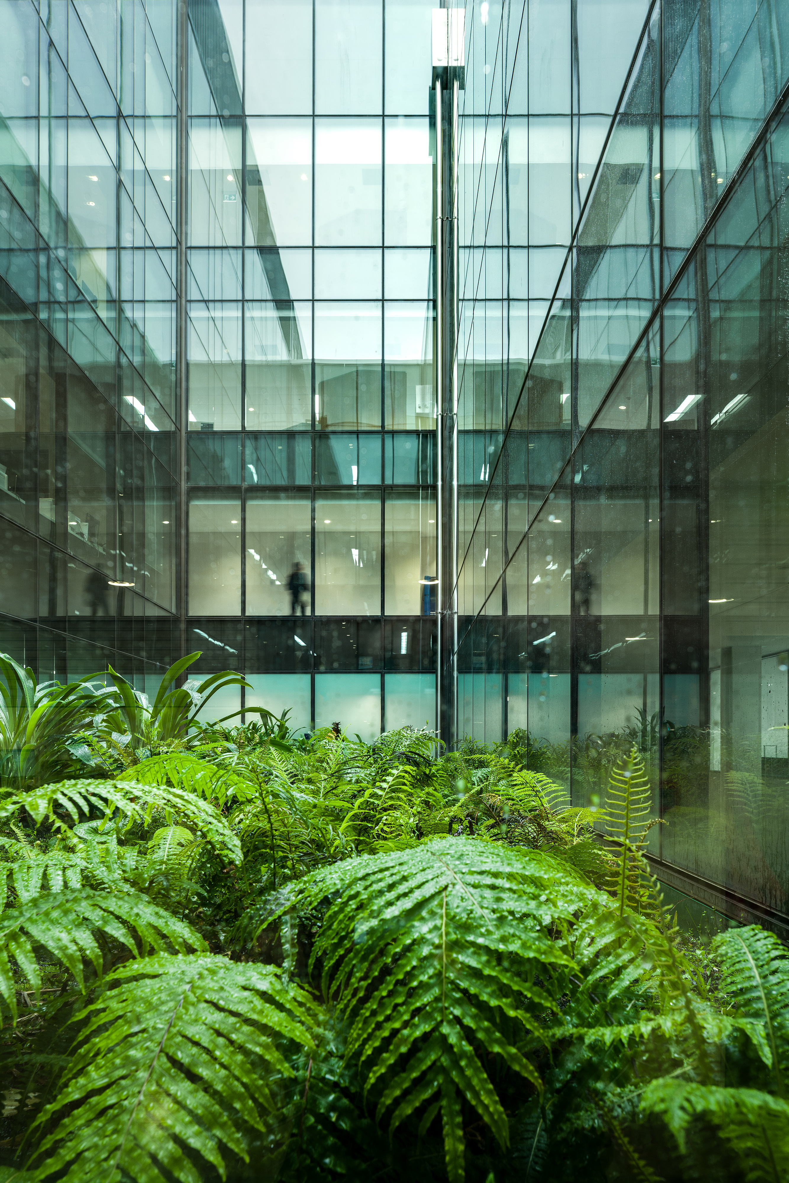 University of Otago Dental School