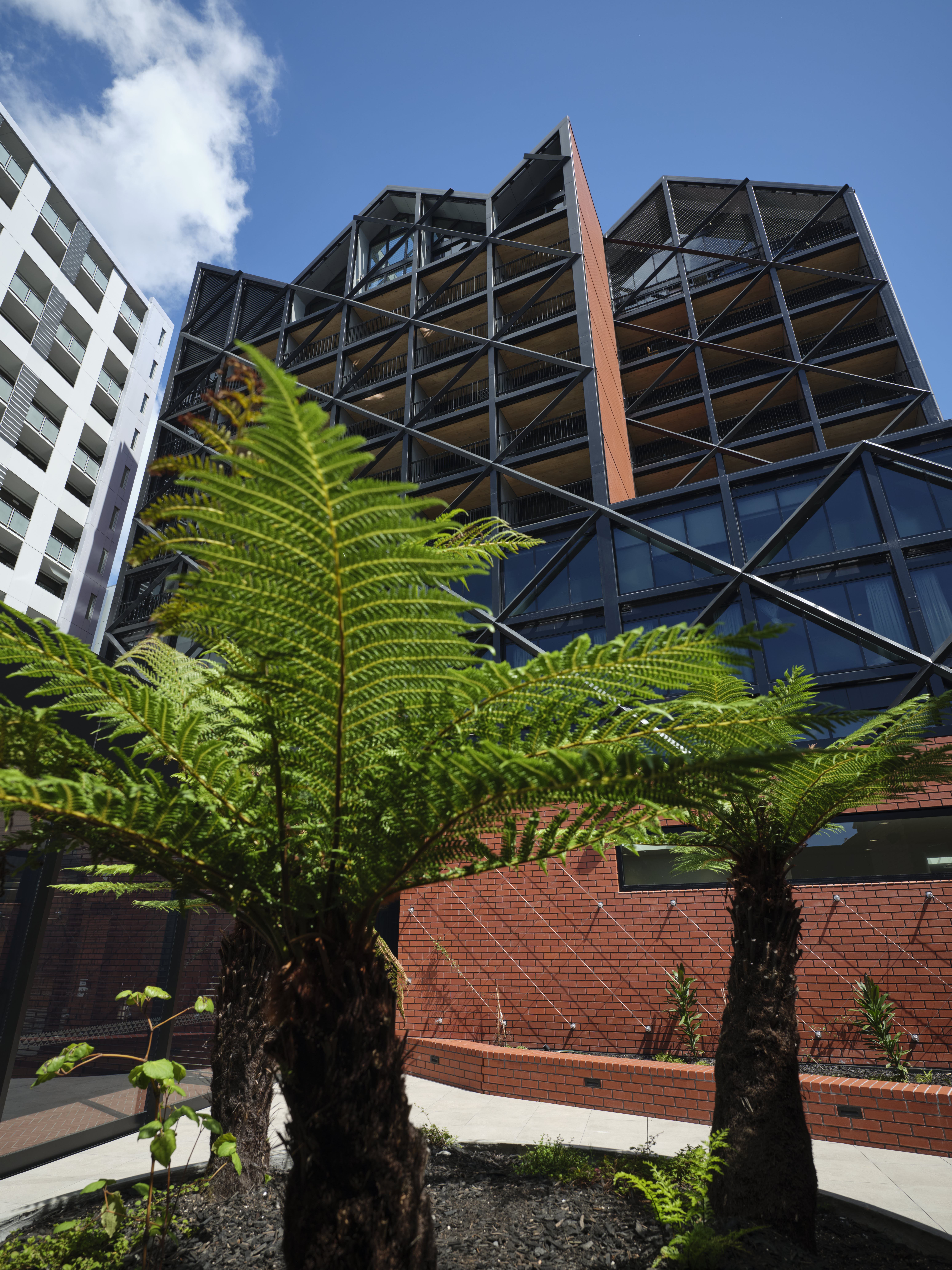 Auckland City Mission - HomeGround