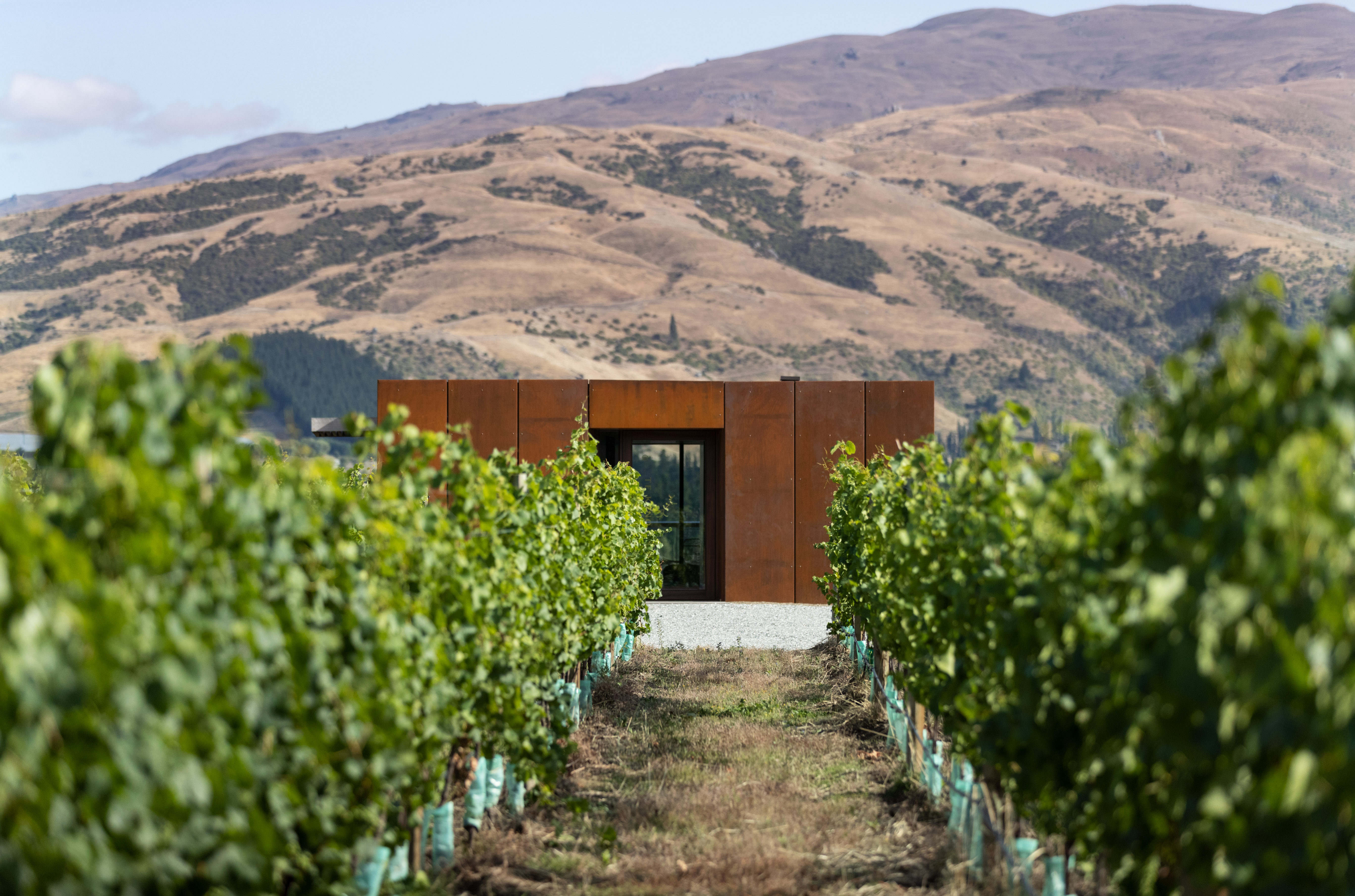 Te Kano Estate Tasting Room