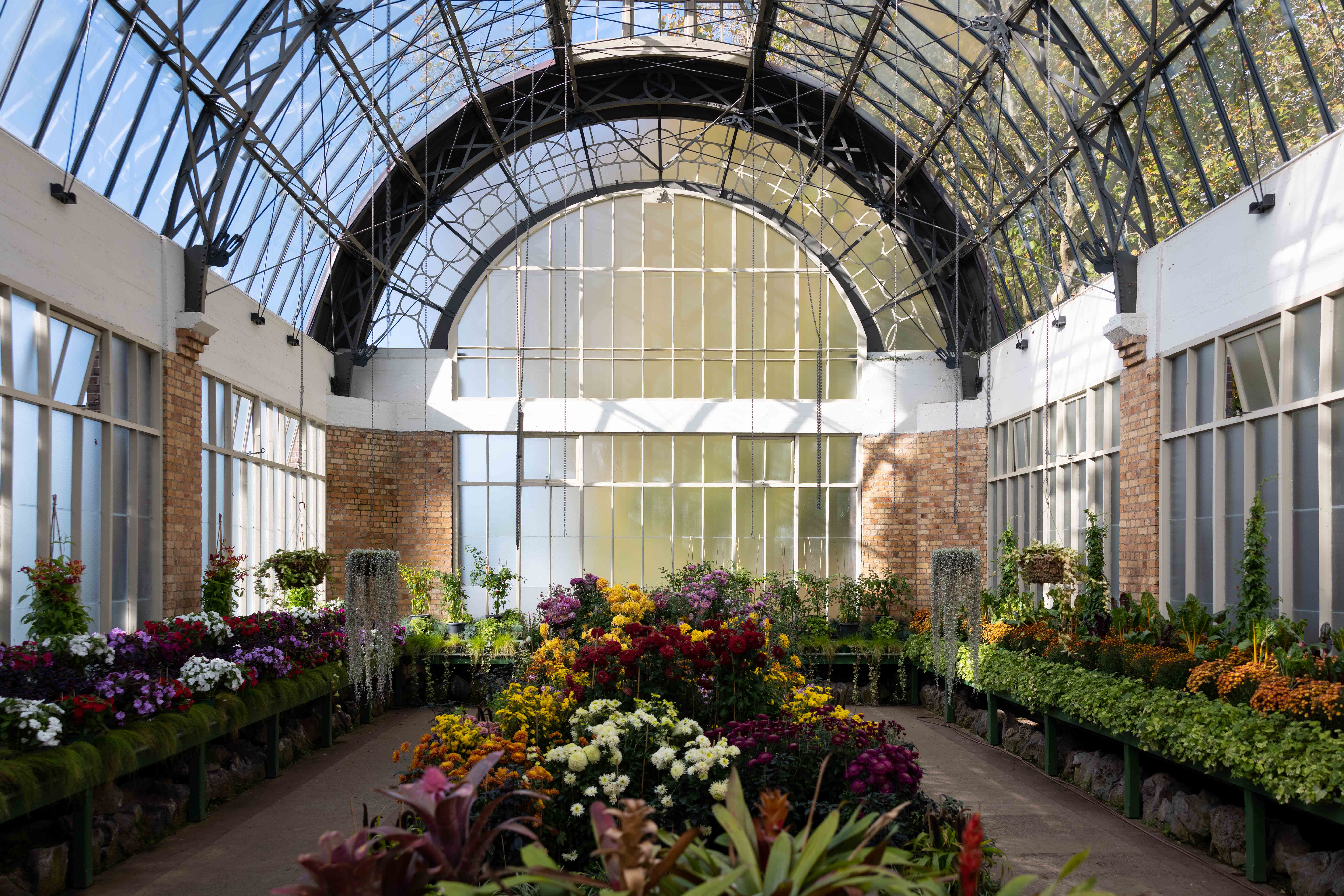 Auckland Domain Wintergarden Restoration