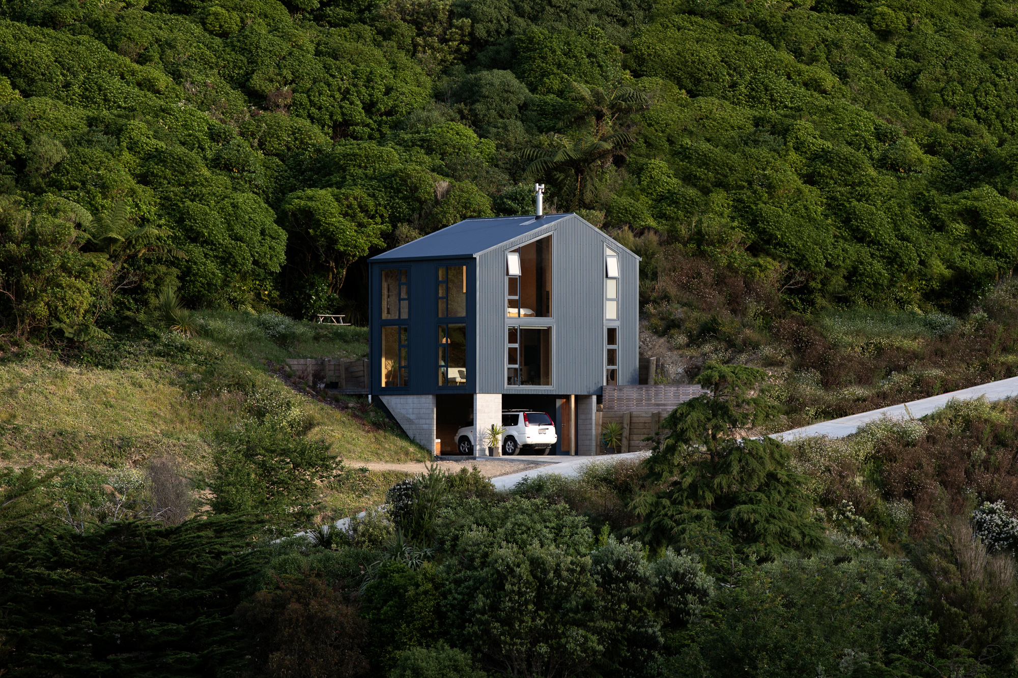 Thornton + Hasegawa  House