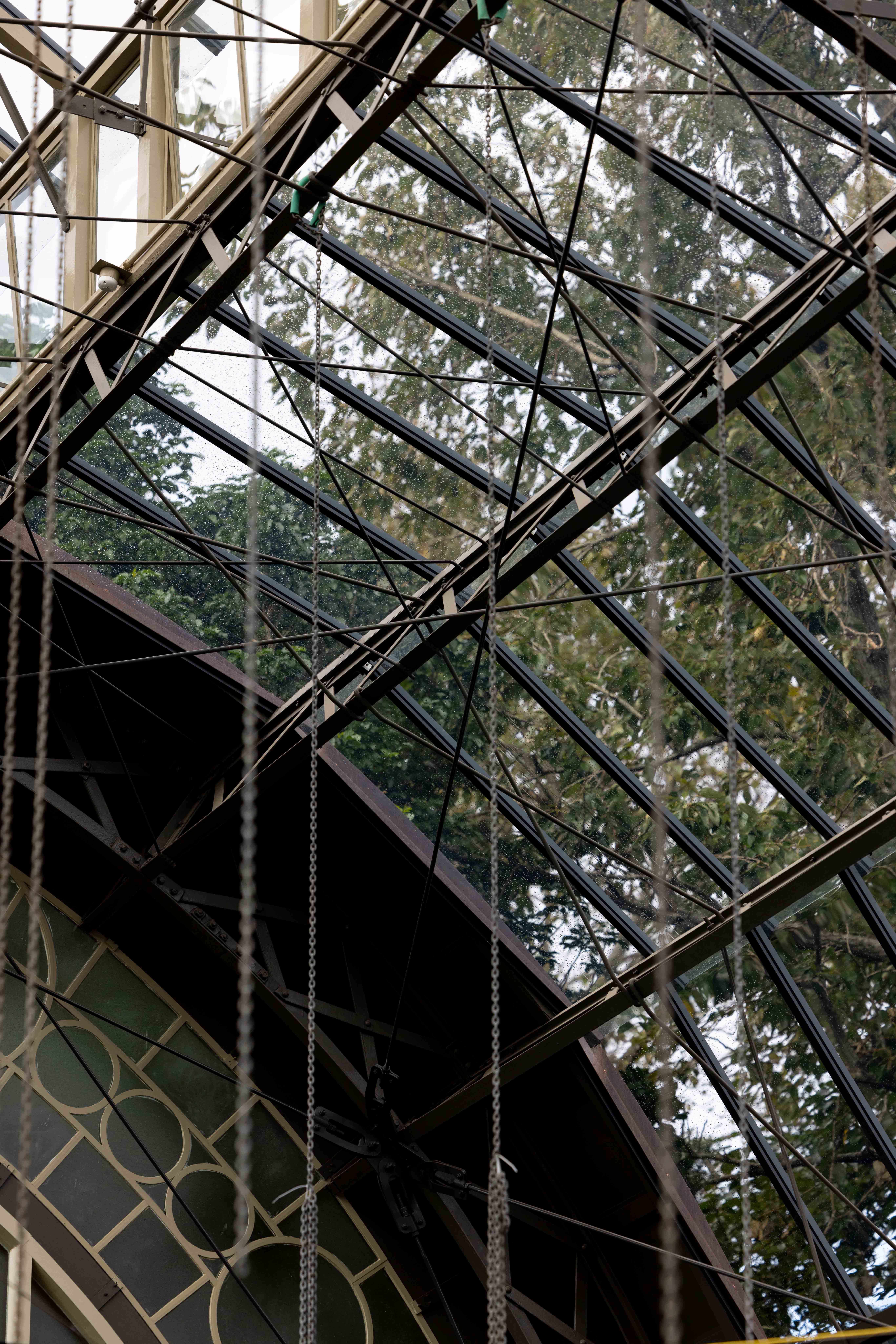 Auckland Domain Wintergarden Restoration