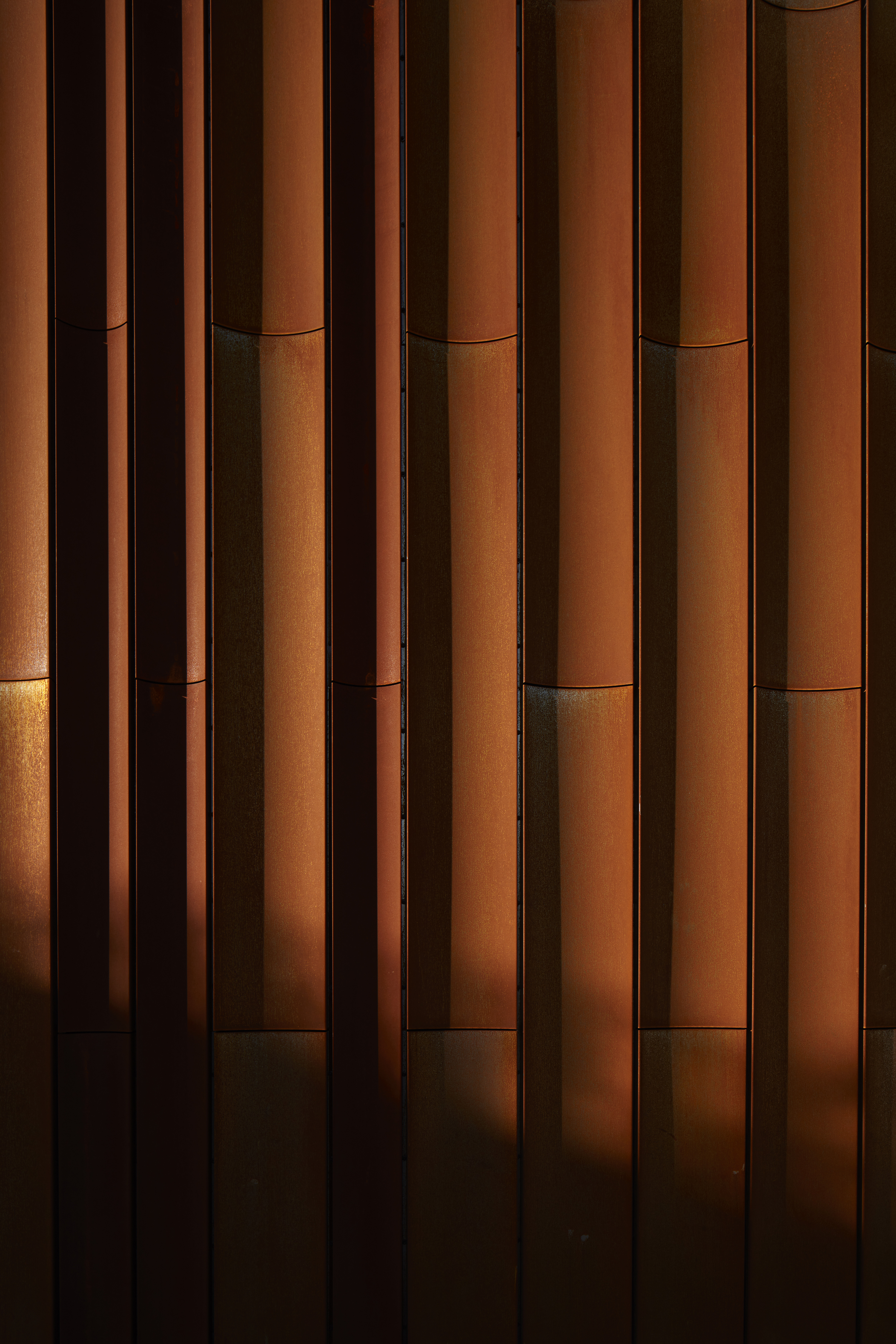 Te Manawa Atawhai Catherine McAuley Centre