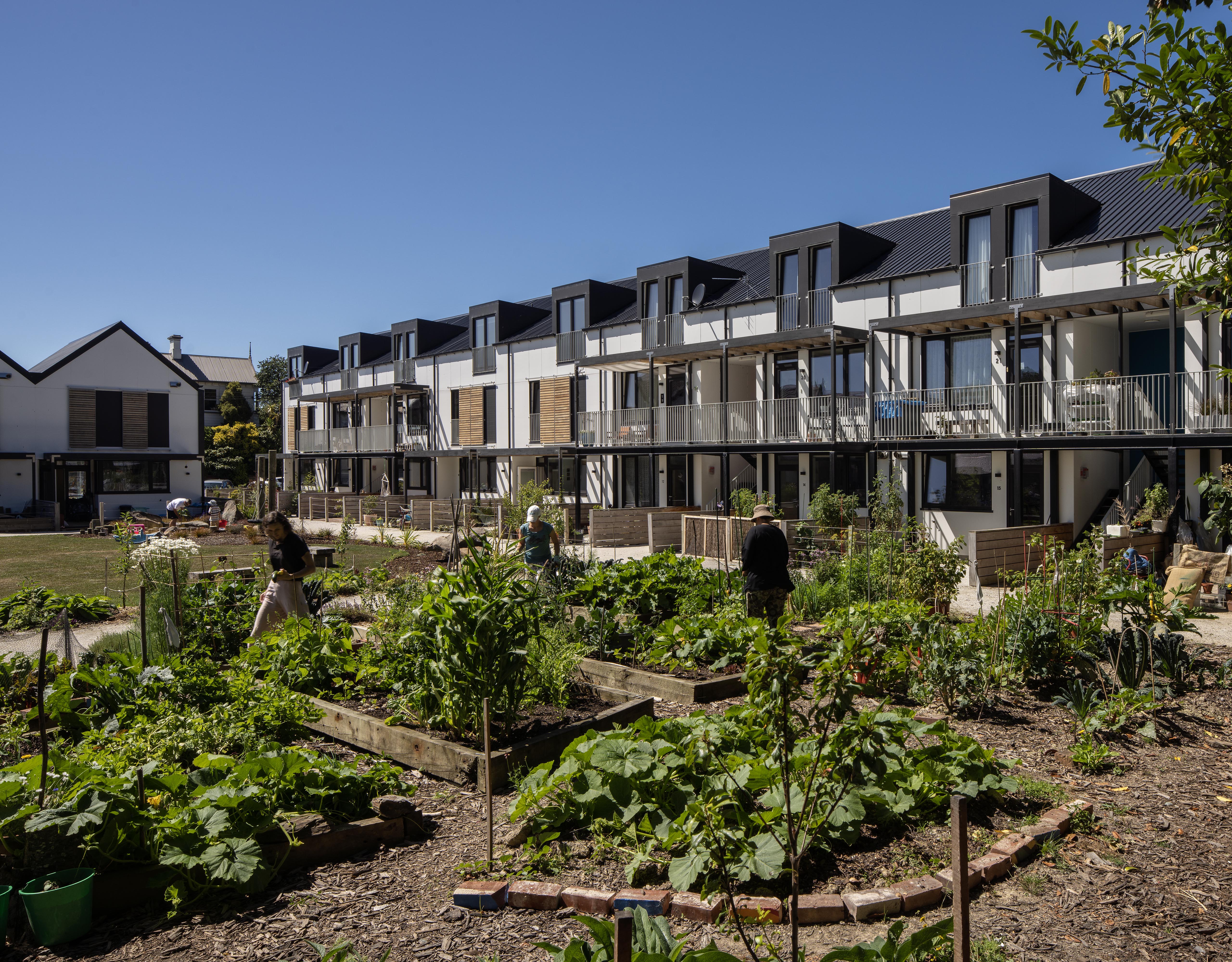 Toiora Cohousing Development