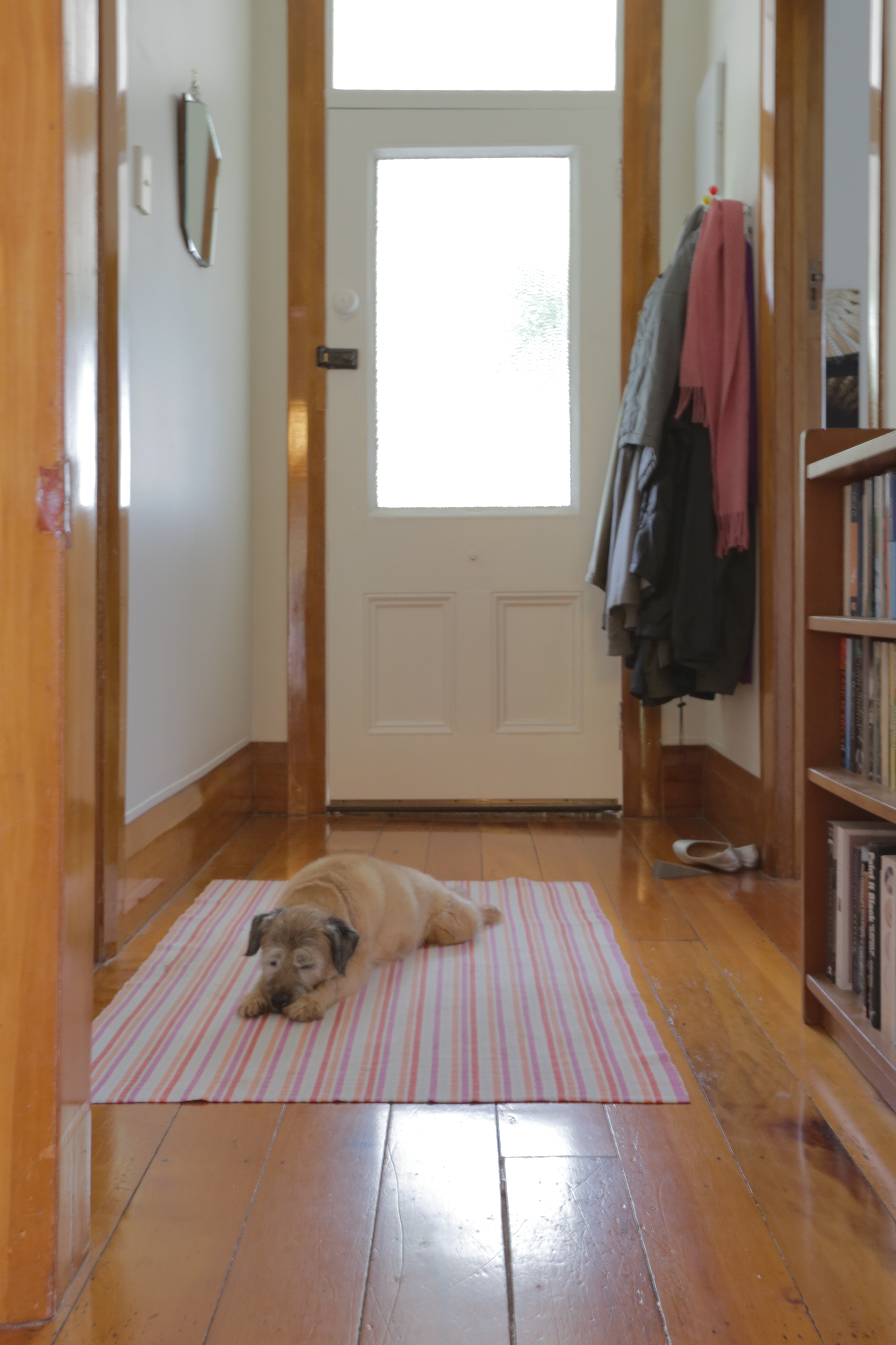 johnston-family-home