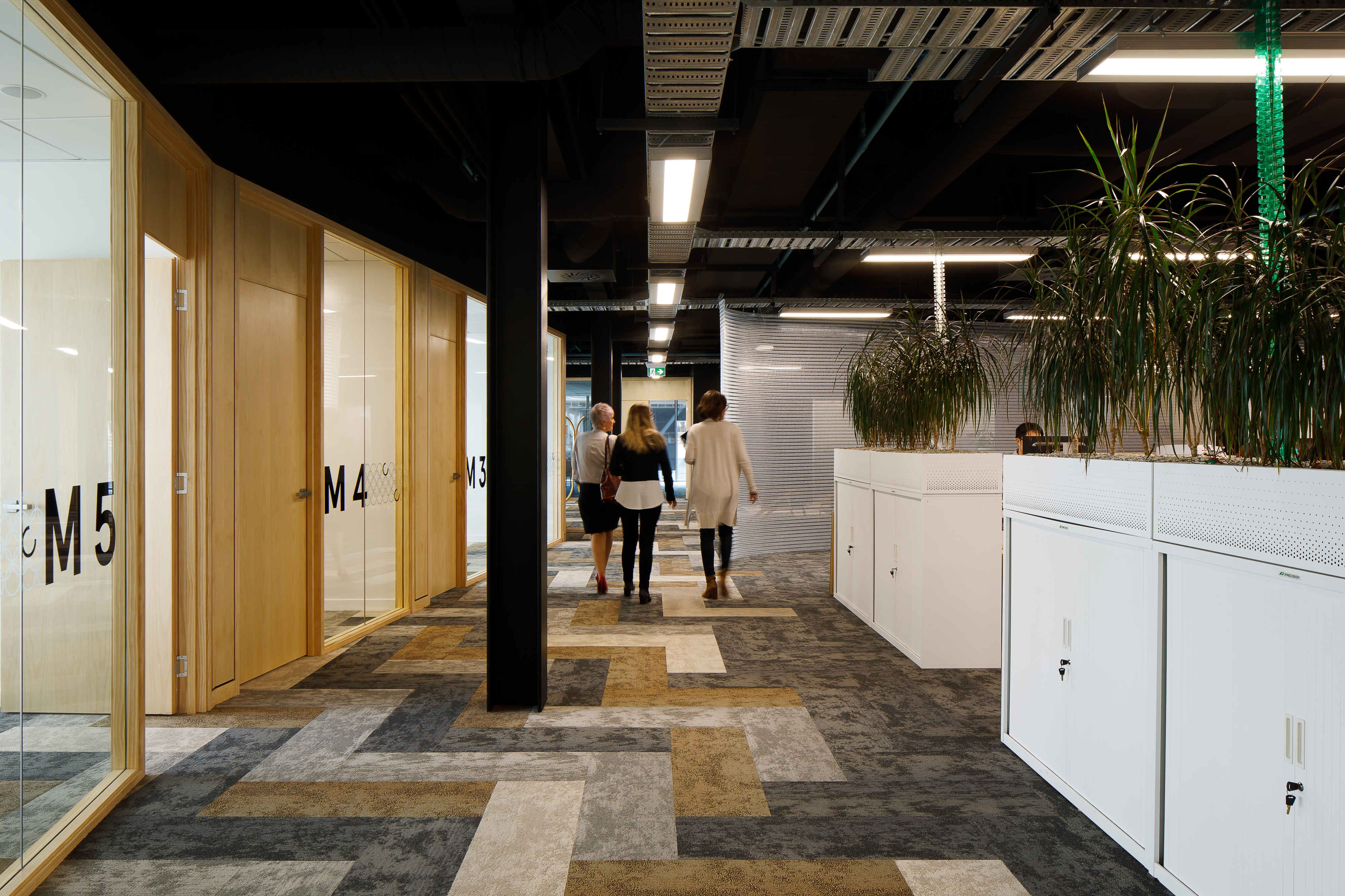 Christchurch NZ Office Fitout
