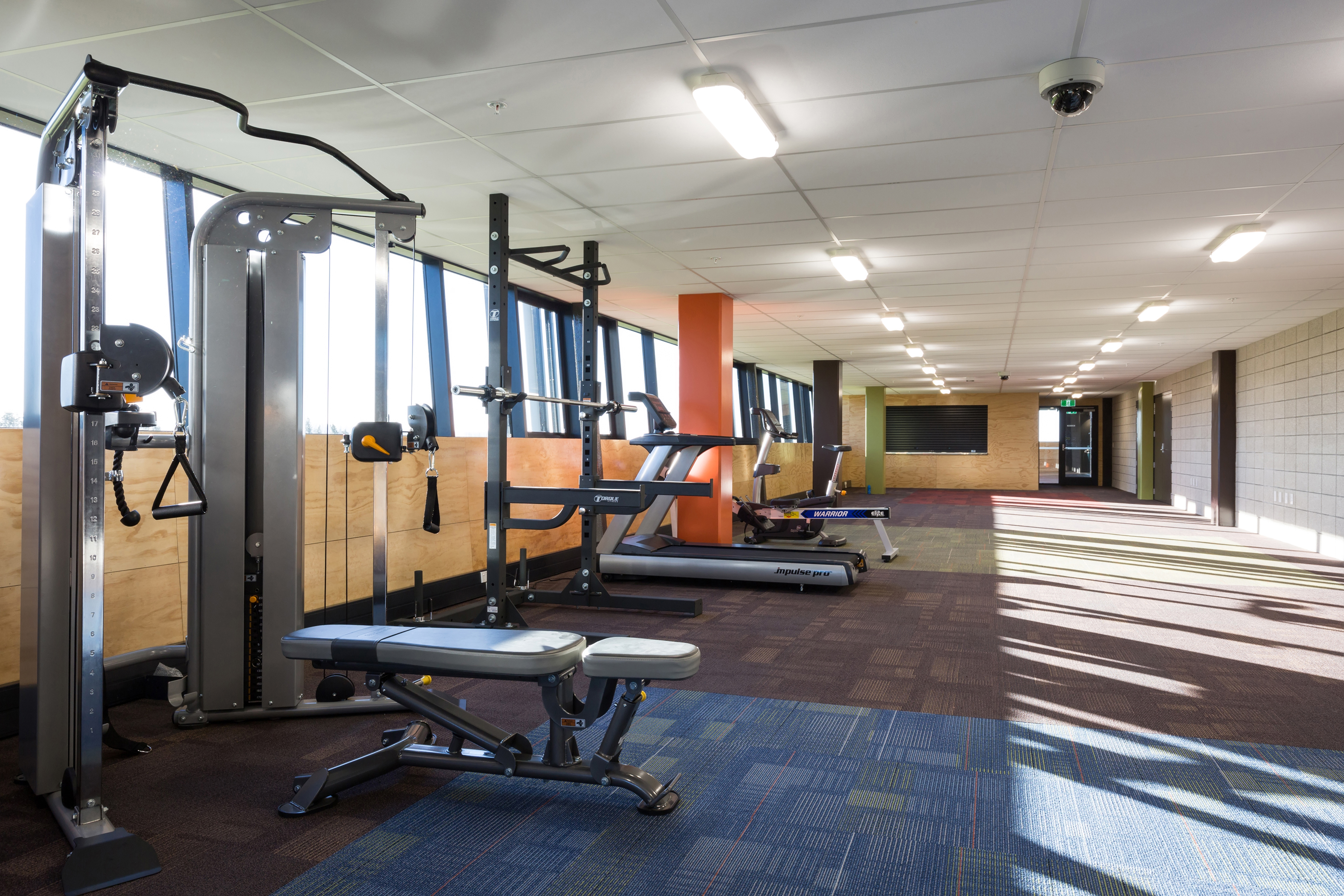 ACG Tauranga - Gymnasium