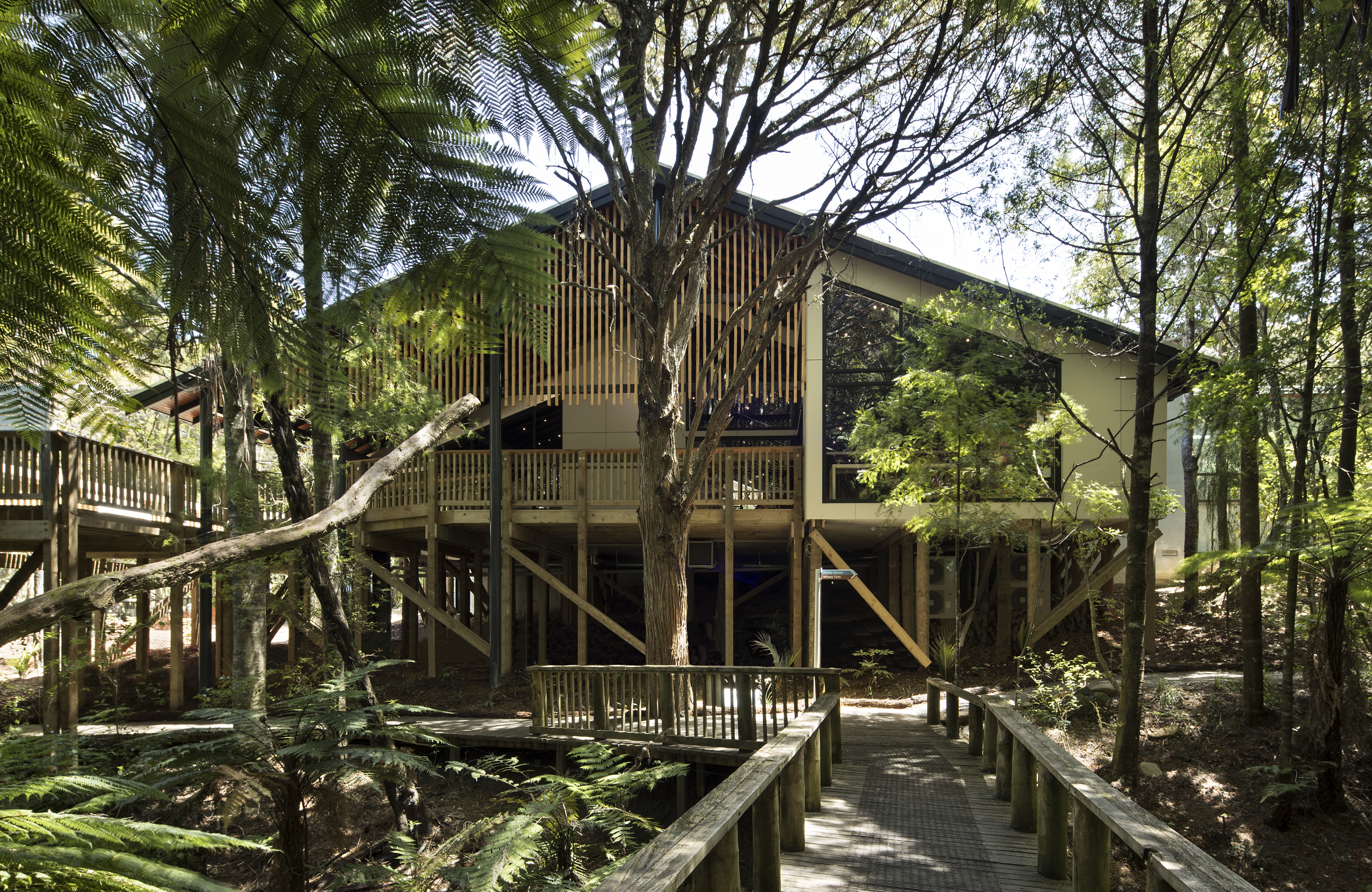 waitangi-visitors-centre-interior-2-of-8