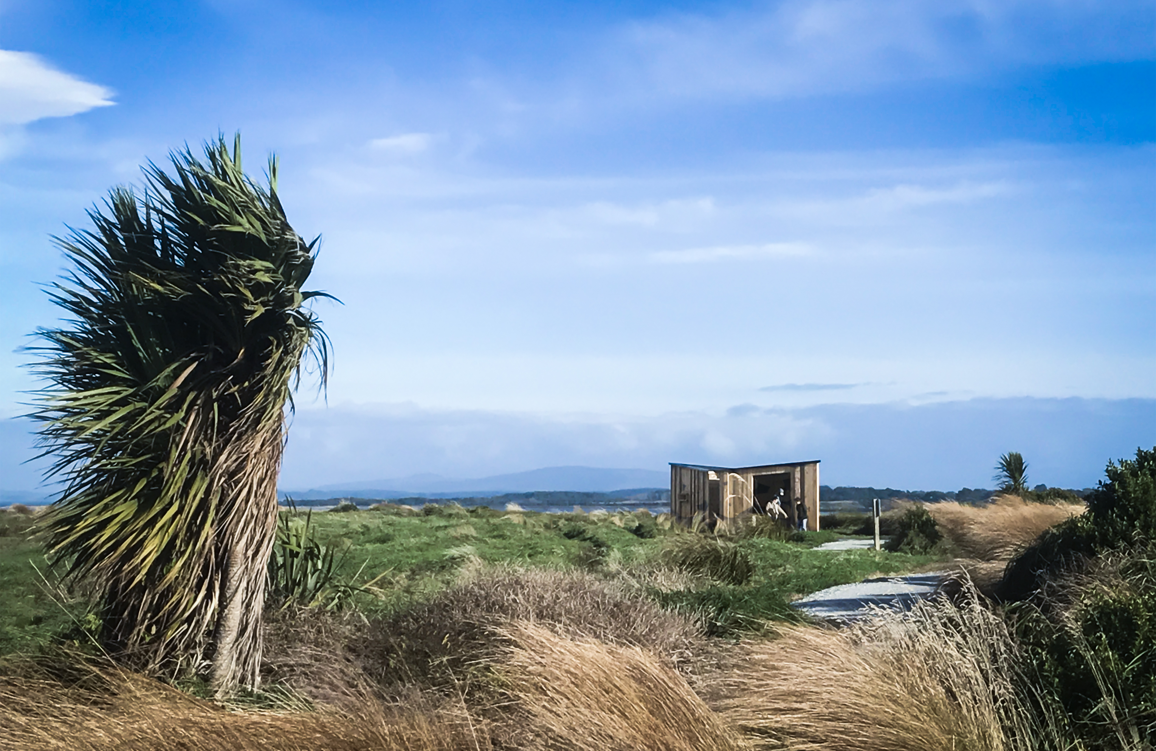 Invercargill Estuary Walkway Shelters