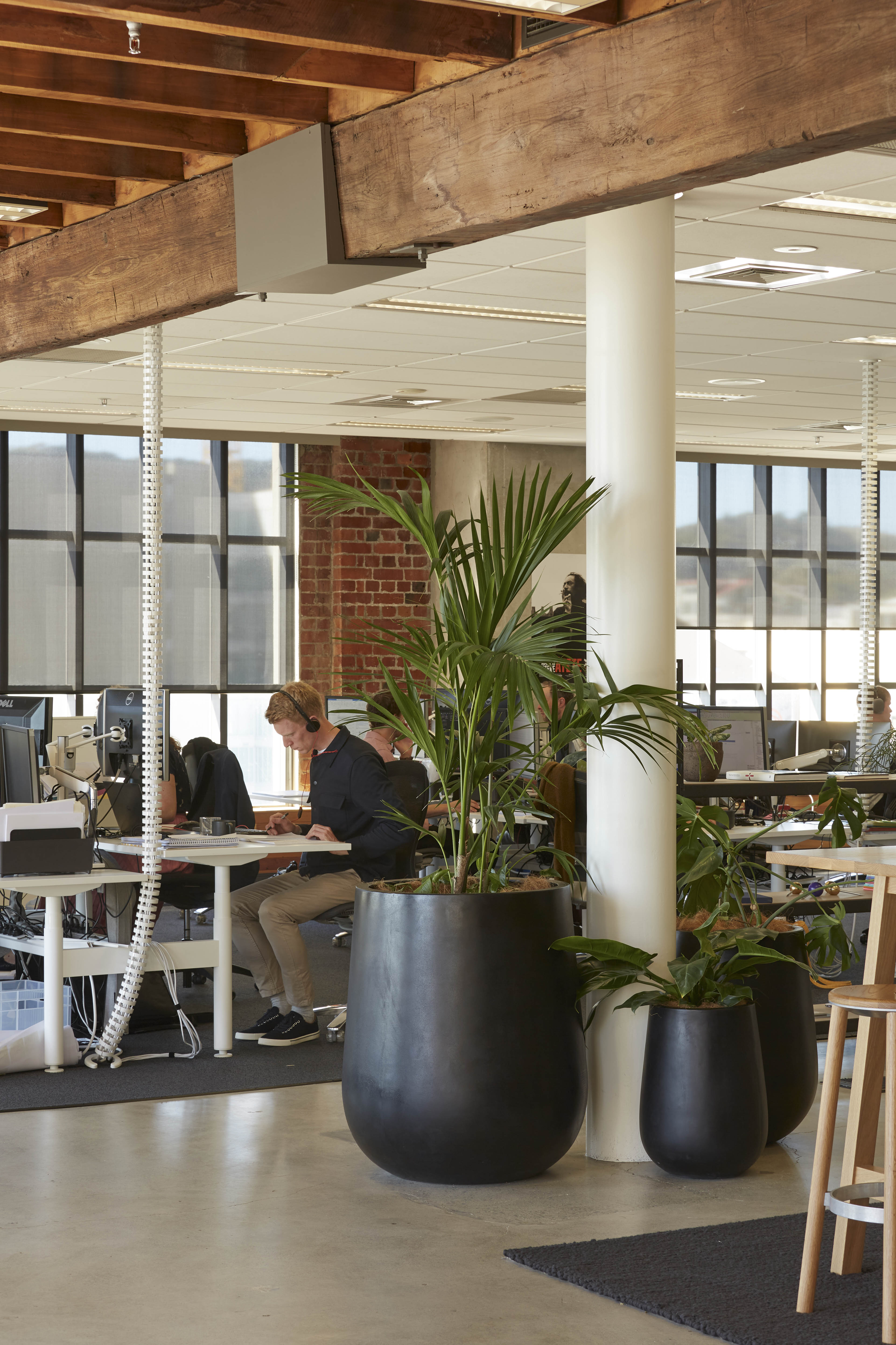 Warren and Mahoney Wellington Studio