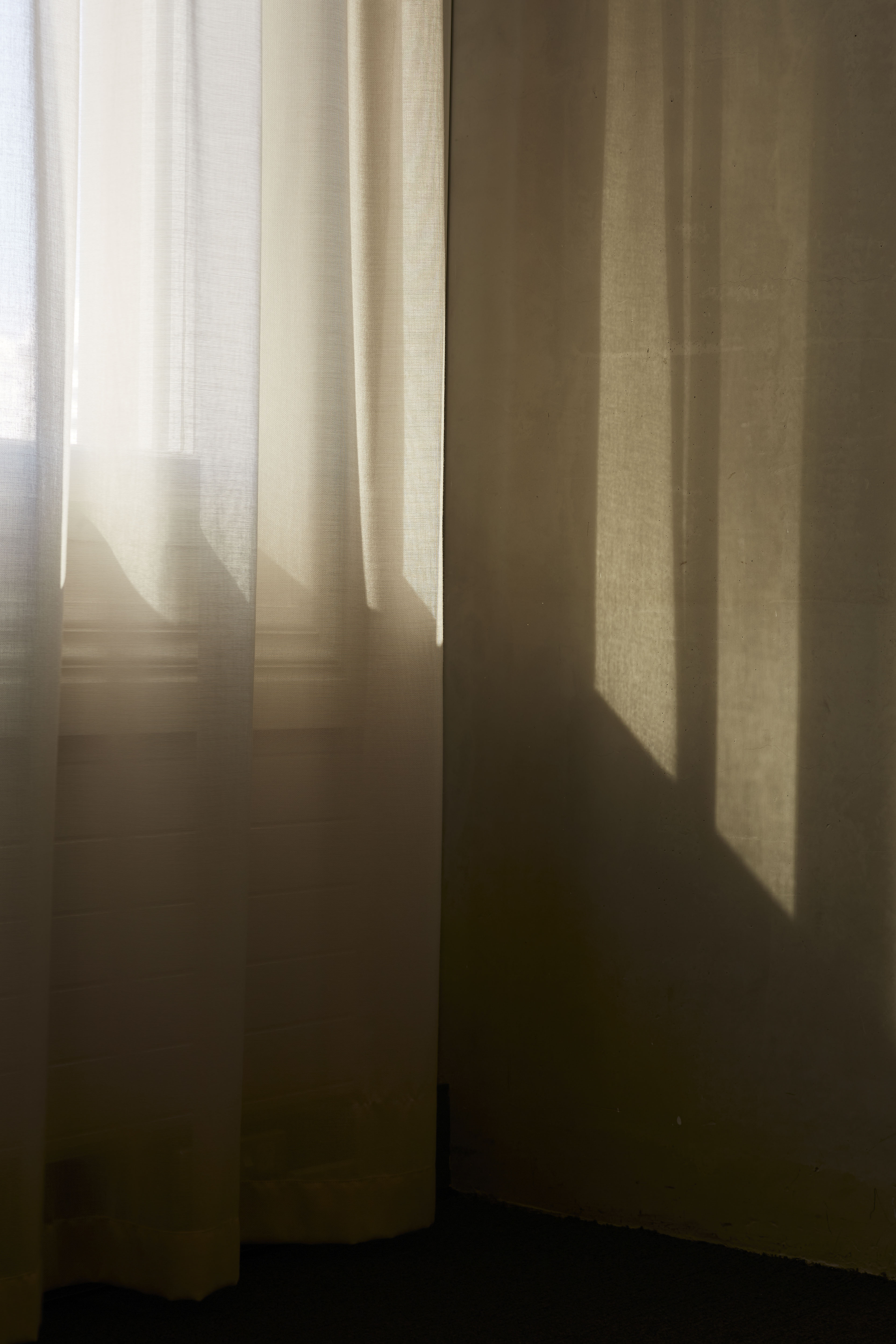 Warren and Mahoney Wellington Studio