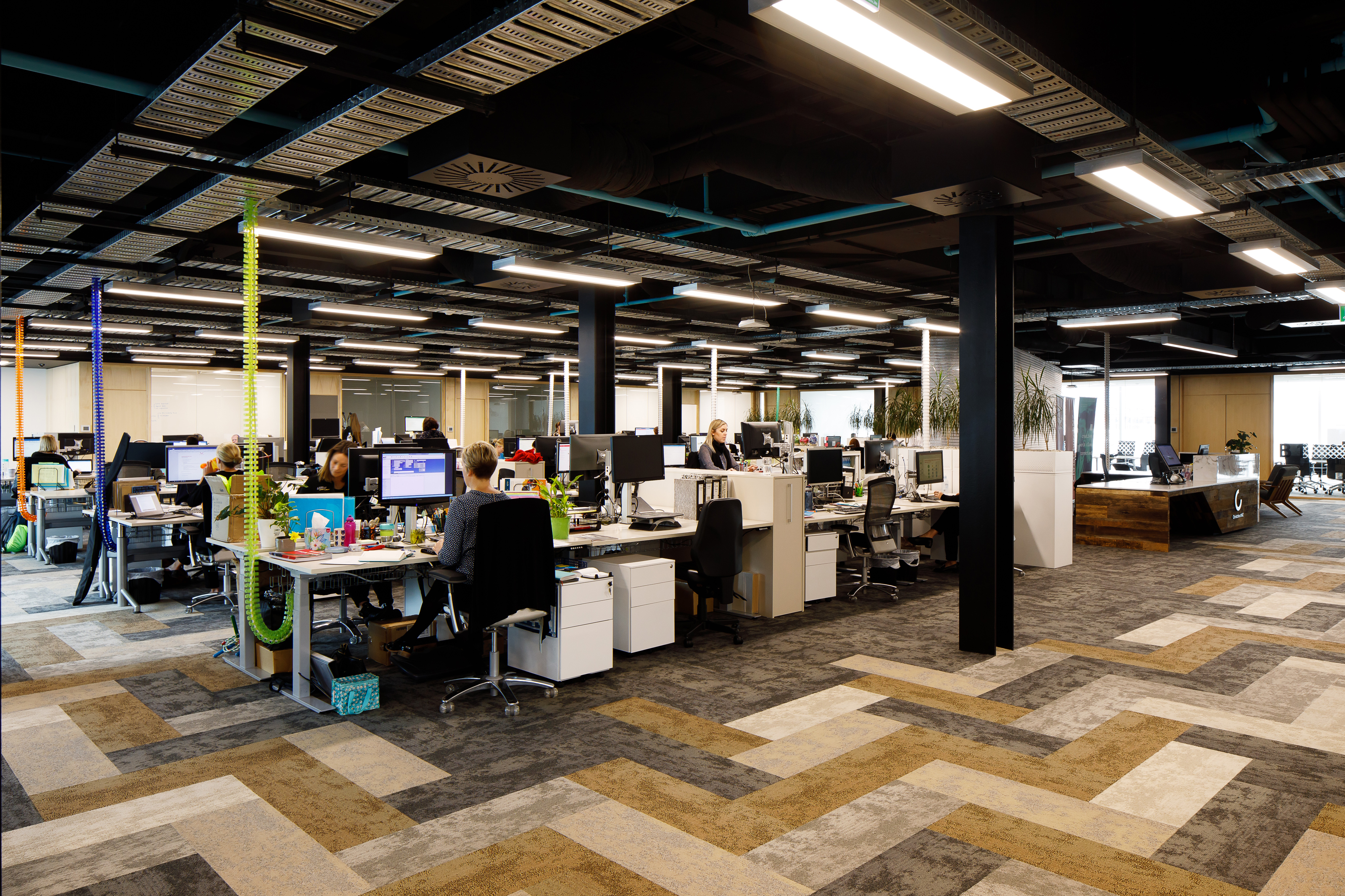 Christchurch NZ Office Fitout