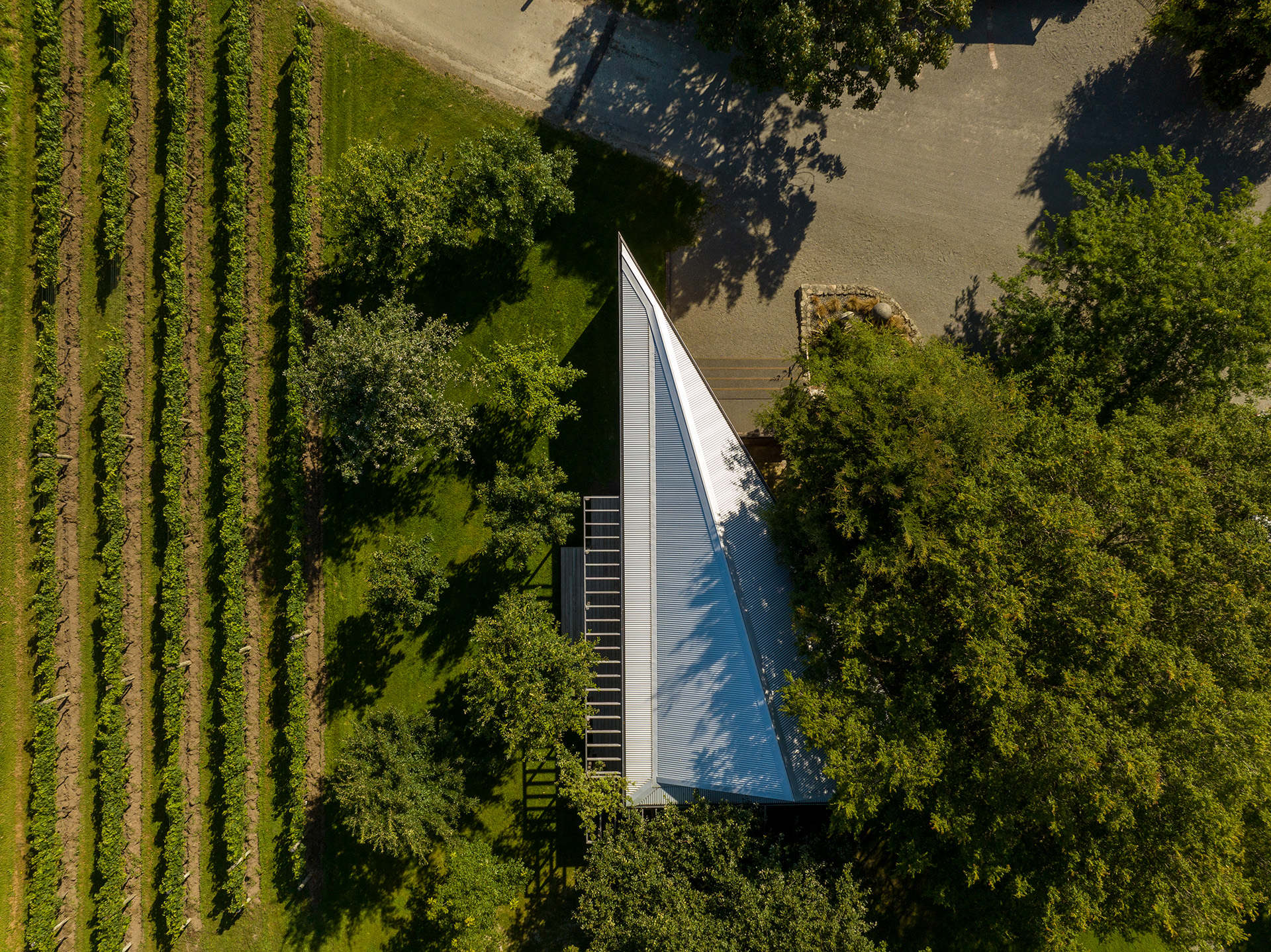 Ata Rangi Tasting Room