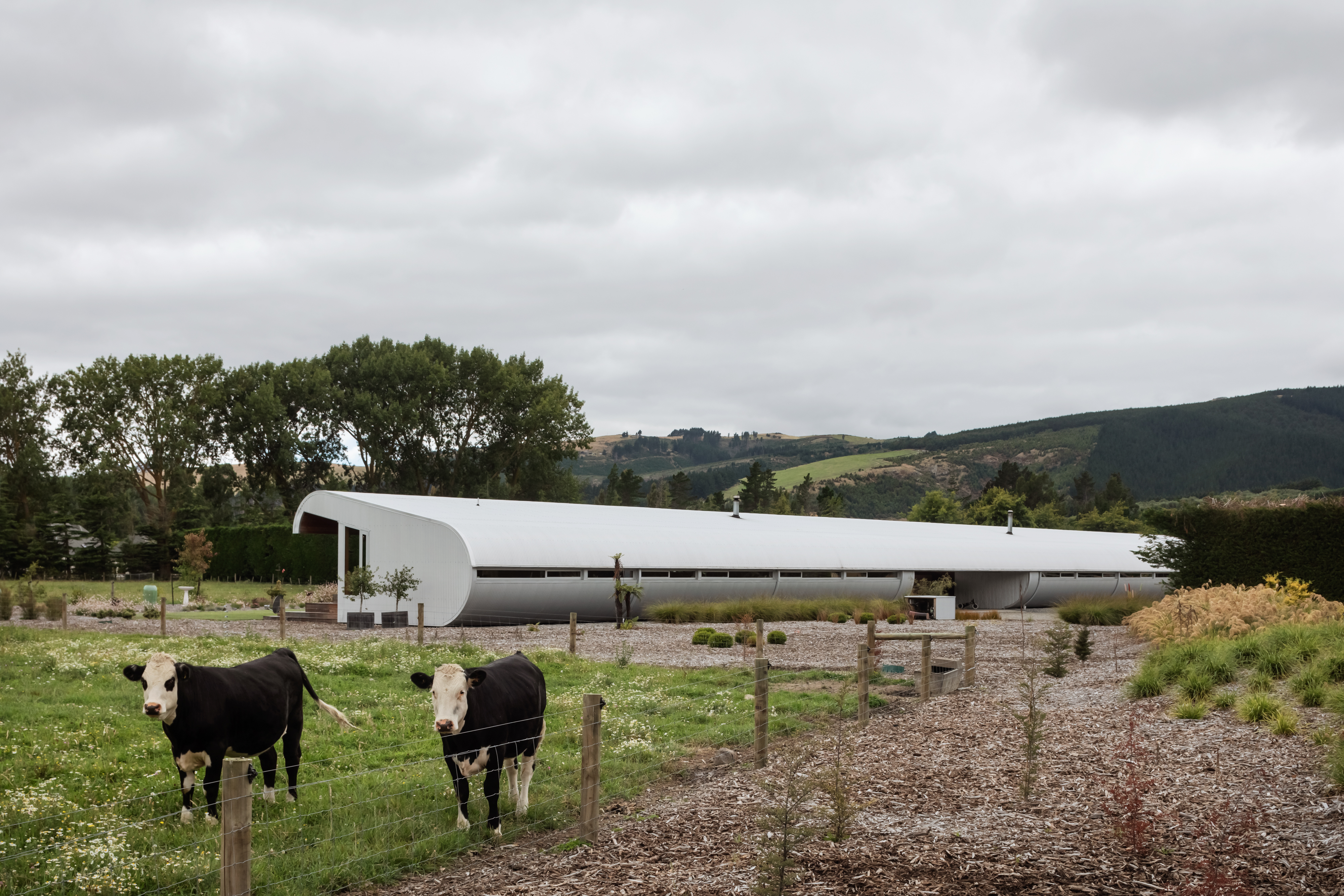 Gustorob_Patrick Reynolds Photographer_3 of 10.jpg