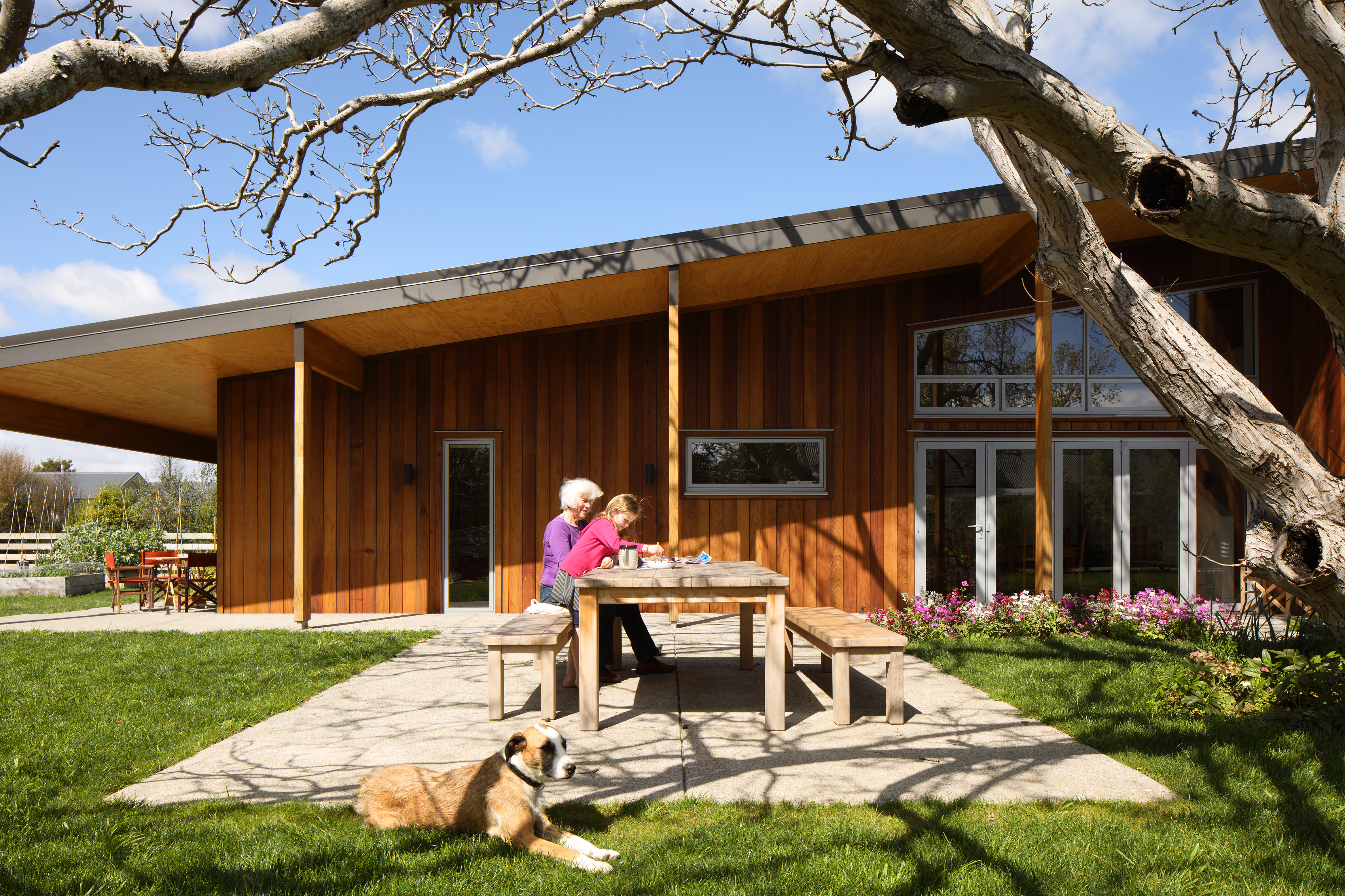 wairarapa-hay-barn---living-under-the-walnut-tree--2-of-8