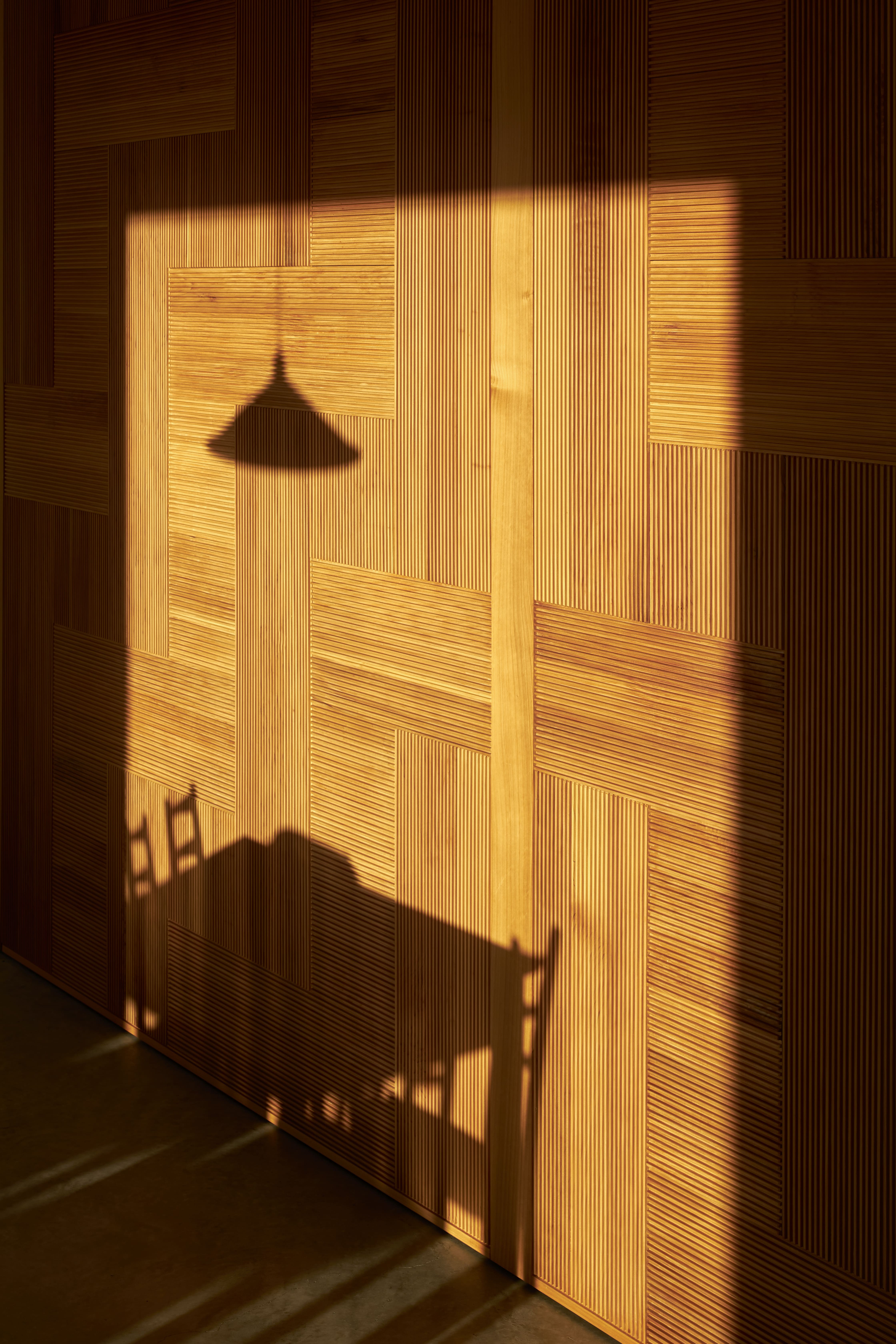 Kahutara House_Door Detail_Simon Wilson.jpg