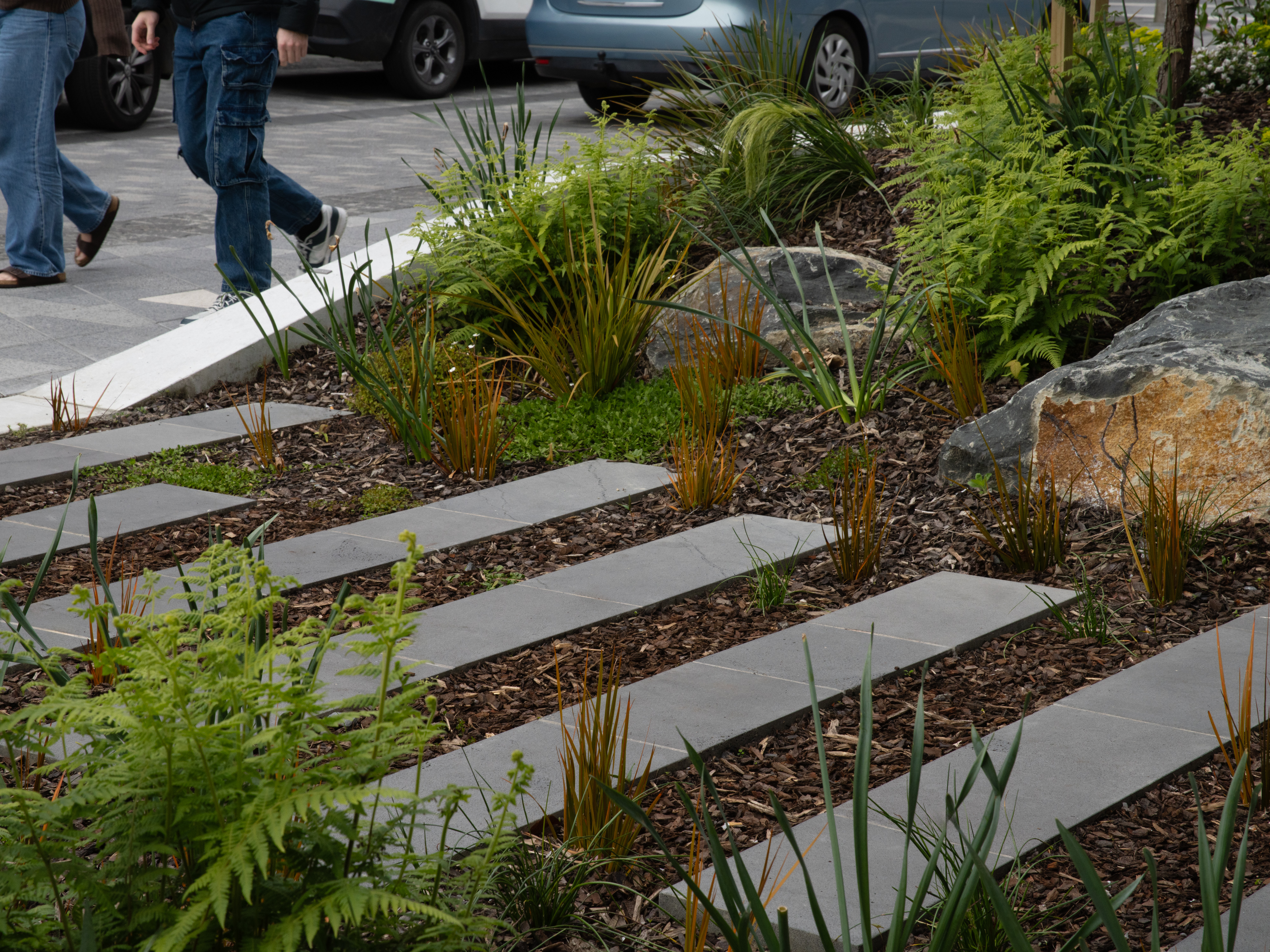 George Street, Dunedin Retail Quarter