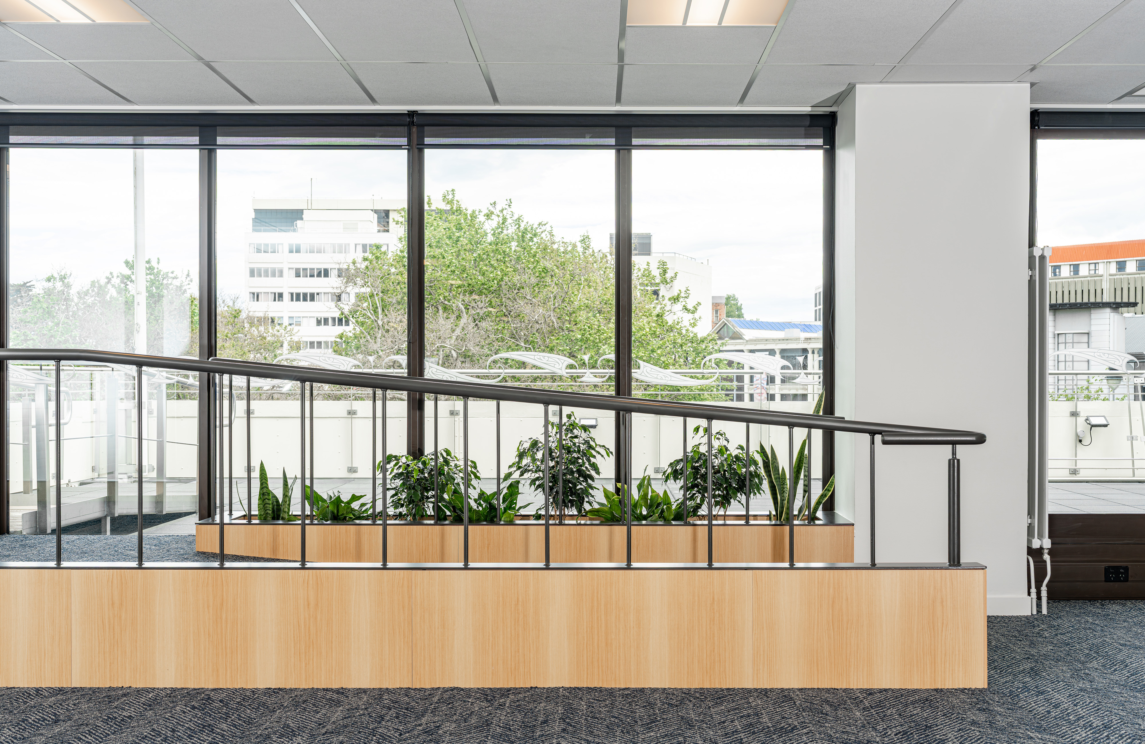 VXLJT2WHL55CU69_DCC_Executive_Leadership_Level_New_Accessible_Deck_Access_Nick_Beadle_8.jpg