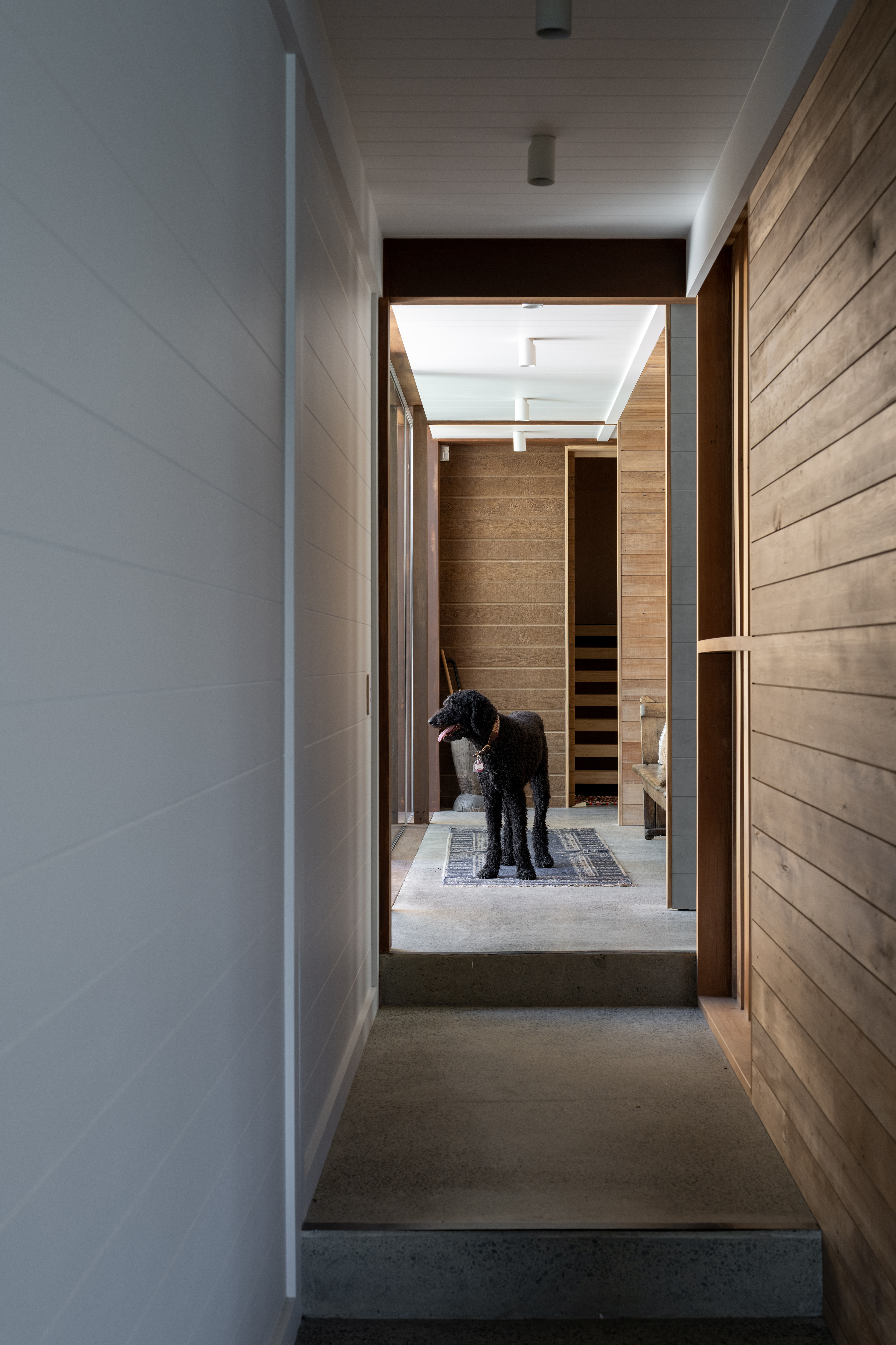 IYKXD2BAOGUVVKK_Beach_House_link_between_main_house__guest_house_Simon_Devitt_6.jpg
