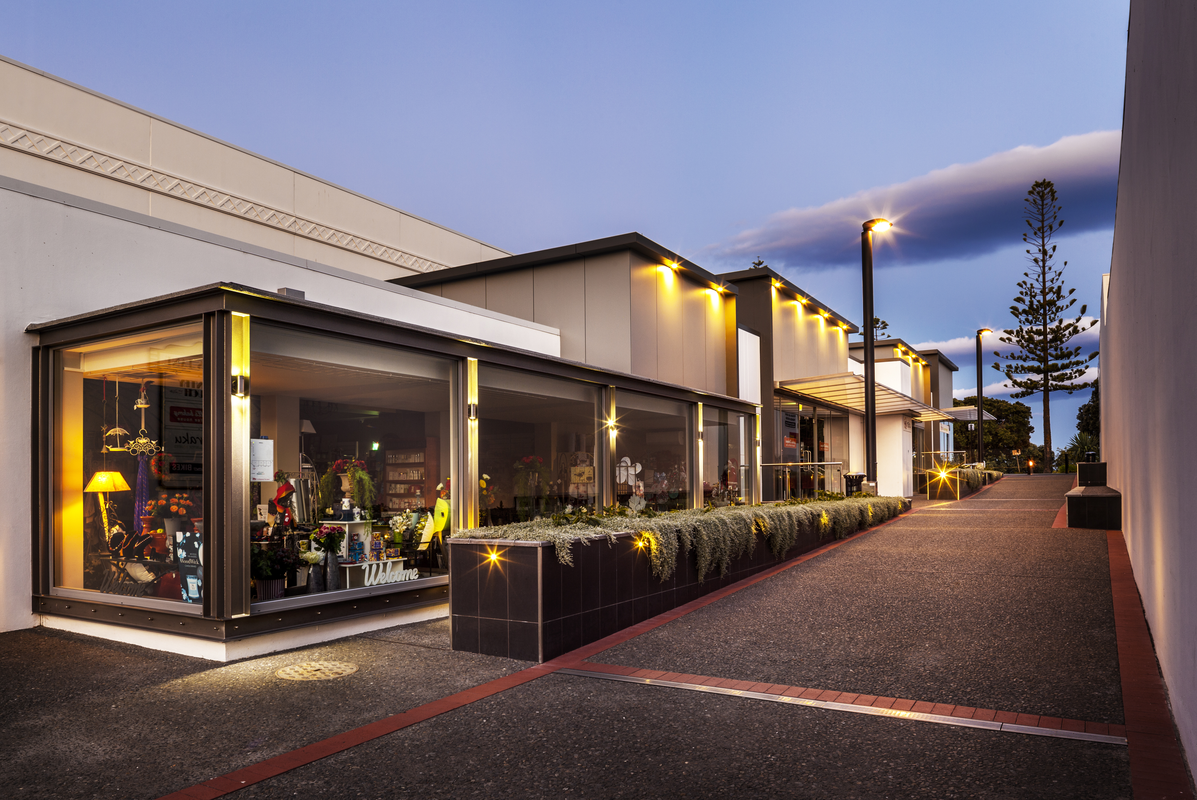 Opening up the Paxie's laneway to allow public access between the CBD and Marine Parade