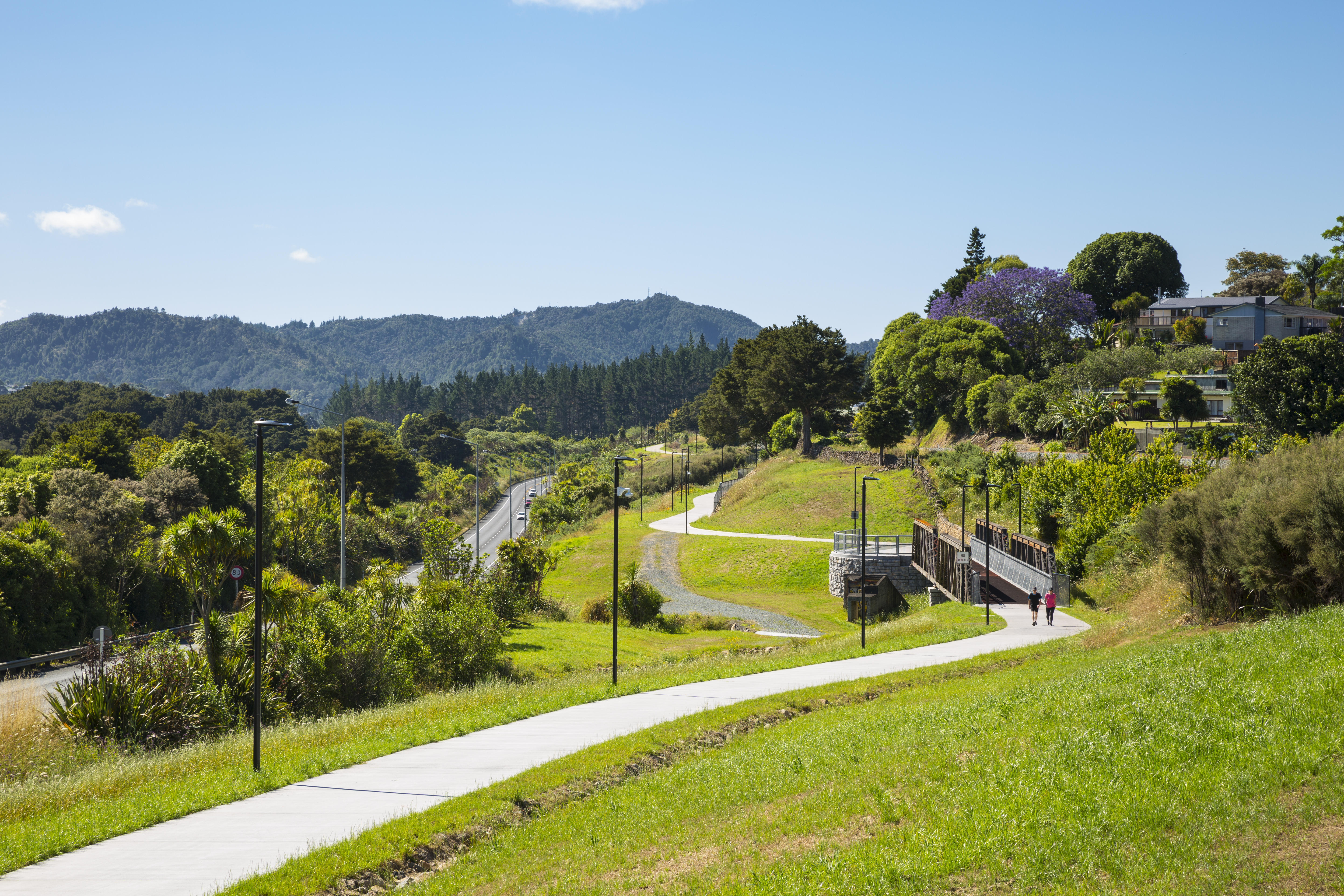 Kamo Shared Path_2.jpg